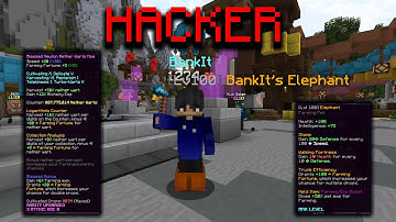 I Found a WILD Macroer (Hypixel Skyblock)