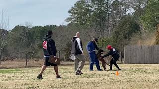 PSA PDC PROTECTION - Fred Hassen and Musk.