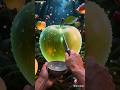 Magic Apple Surprise 🍎😳🔖 #shorts #weirdfood #magic #satisfying #viralshorts #foodsurprise #trending