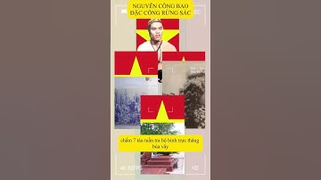 Nguyễn Công Bao: chiến sĩ cảm tử của Đặc công Rừng Sác