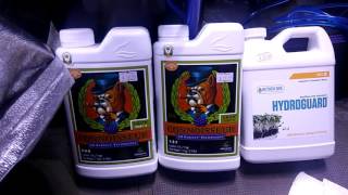 DWC system !!!!!!! Its just the start.
