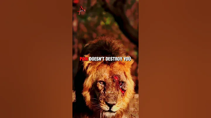 Sigma rule 😎🔥~ Attitude status 😈 | WhatsApp status | Attitude quotes #shorts #quotes #attitude