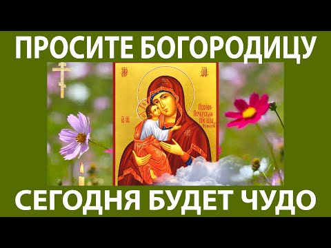 ВКЛЮЧИ МОЛИТВУ СЕЙЧАС! ОНА БЕСЦЕННА! Самая сильная молитва о здоровье и счастье