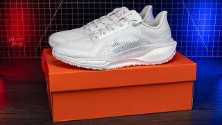 Nike Pegasus 41 Gore-tex | Are They Worth It?