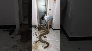 Kaliya Naag Prank at Home 🐍😂 ~ Building Wooden Log Cabin in Forest | Survival House Step by Step 332