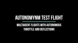 Multiagent Test Flights