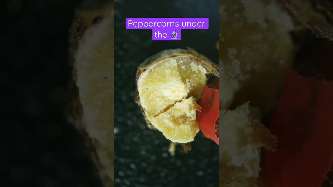 Mixed peppercorns under the 