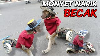 TOPENG MONYET LUCU DAN PINTAR NARIK BECAK PART 35