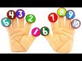 Посчитай пальчики с героями мультика Три кота. Учим цифры с развивающей игрушкой &quot;Руки с цифрами&quot;