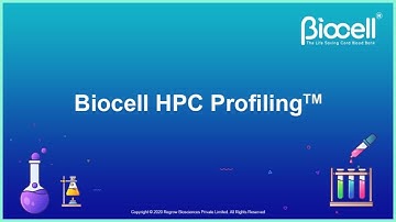 BIOCELL HPC Profiling
