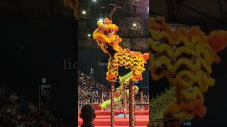 2023 14th Genting World Lion Dance Championship - Finals Highlights