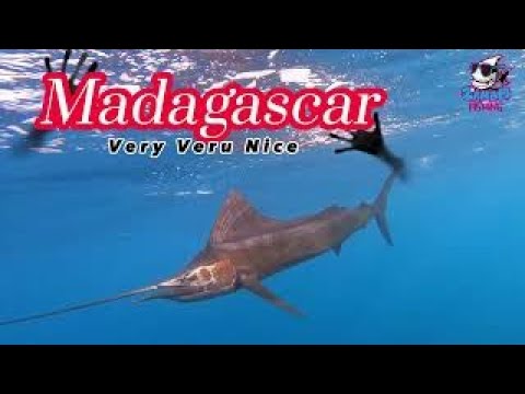 Trolling Pursuit Sailfish Monsters Madagascar Mitsio Nosy be