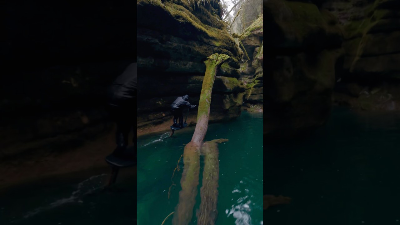 HE WENT UNDER THE TREE AND DIDN’T CRASH 🤯 foilscoot.com