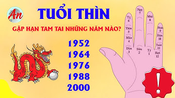 Hạn Tam Tai - Tuổi Thìn Gặp Hạn Tam Tai Trong Những Năm Nào | Hạn Tam Tai Của Tuổi Thìn
