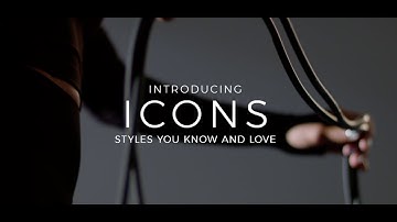 Introducing The Icons