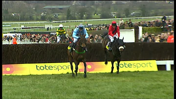 THREE GOLD CUPS! A look back at Best Mate's historic third victory in Cheltenham's blue riband event