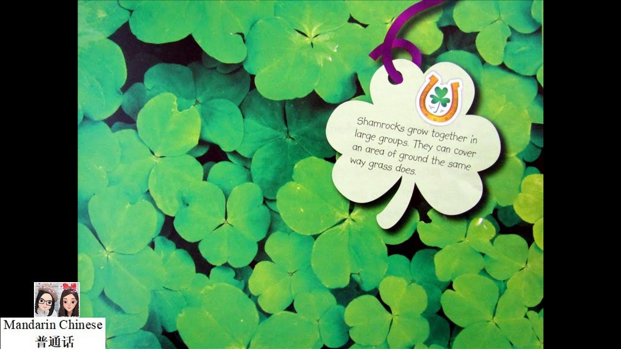 its st patricks day dear dragon