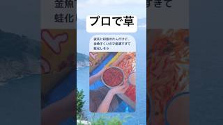 #shorts#初詣#プロ#金魚すくい#面白い#笑える