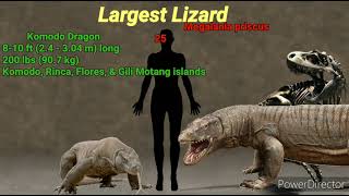 Living Vs Extinct Animals Size Comparison Part 1