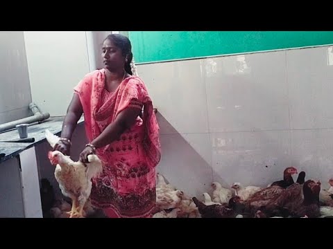 Women slaughter two chicken 🐔🐔