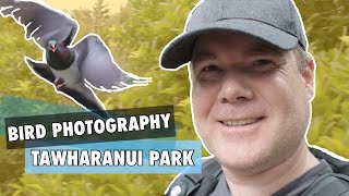 Bird Photography at Tawharanui Regional Park | Auckland