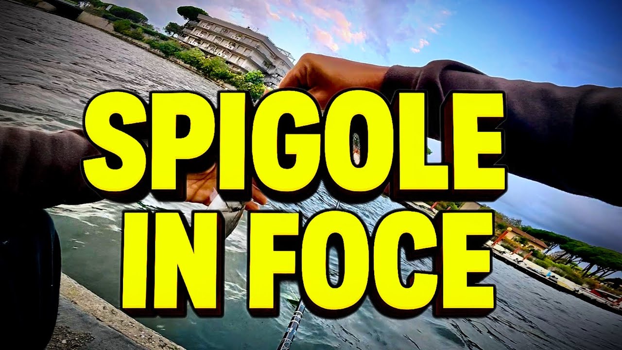 Pesca Alla Spigola | Pesca In Foce | Bolognese e Bigattino |
