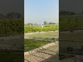 picnic pe #love #duet #funmoment #funny #yaarateriyaariko #comedymovies #fun #bolleywood #trending