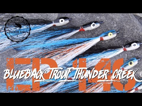 Tying a Blueback Trout Thunder Creek Minnow Fly Pattern- Ep146 PF #piscatorFlies