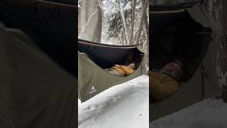 🔴 Live from the woods 🐻