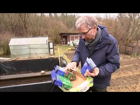 Video: Welche Gründüngung Für Den Boden Zu Wählen