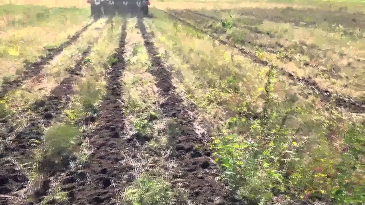 1tRIPr demo with Hillsboro Equipment YouTube