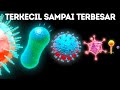 Mikrob dari Ukuran Terkecil sampai Terbesar