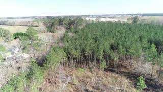 100 - Acres W Fairfield Rd Dillon SC