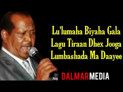 XASAN AADAN SAMATAR | HEESTII DOOKH | OFFICIAL VEDIO LYRICS