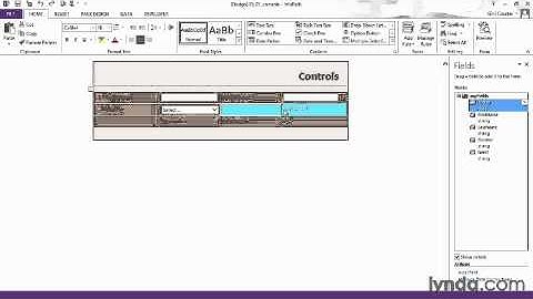 Understanding the use of form controls from the Course InfoPath 2013 Essential Training