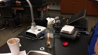 Egg gets sucked into bottle using Gay-Lussac's Gas Law