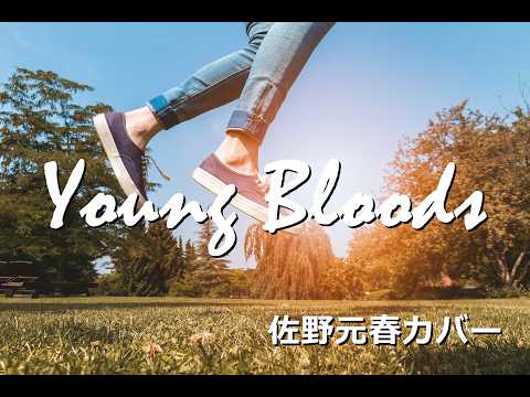 佐野元春　「YOUNG BLOODS」　カバー　SORA