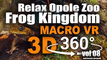 Opole Zoo Frog Kingdom macro 3d 360 video, tropical toads and frogs, birds and turtles tree by Shram