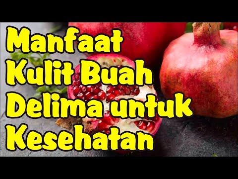 Nama Tanaman Asal Kulit Buah Delima