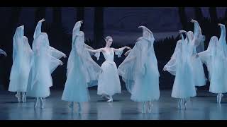 Giselle - taniec willid