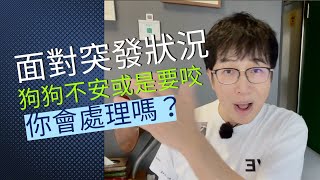 狗面對突發狀況該怎麼做你的狗躁動不安、吠叫、暴衝甚至想要咬對方時怎麼辦拉緊繩子打牠罵牠跟牠說好乖把牠帶開讓牠坐下趴下看你