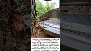 Forestry Cutter Power! Extreme Tree Grinding Technology