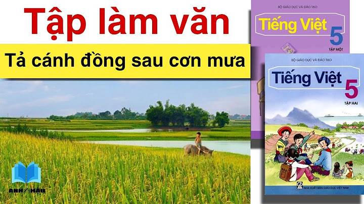 Bài văn tả cảnh thiên nhiên lớp 5 rừng mưa năm 2024