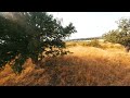 Thüringen [FPV Cinematic Drone Shots]