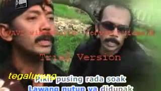 tarling bandar kuclak  kumis ardiansyah   YouTube