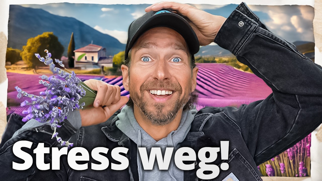 Lavendel: Ich verrate meine ZAUBERFORMEL für perfekten Schlaf & gegen Stress!
