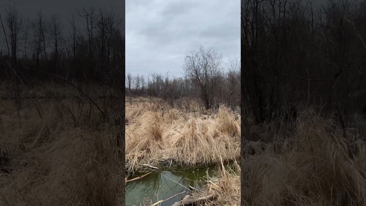 Quiet spot for contemplation