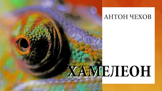 Антон Чехов, 