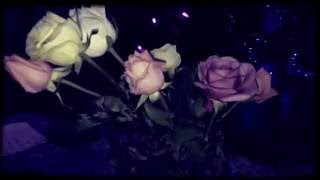 Luella - Set the Record Straight