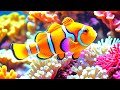The Best 4K Aquarium - Dive Into The Mesmerizing Underwater Realm, Sea Jellyfish, Coral Reefs . #7